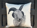 Jacob Sheep Large Pillow