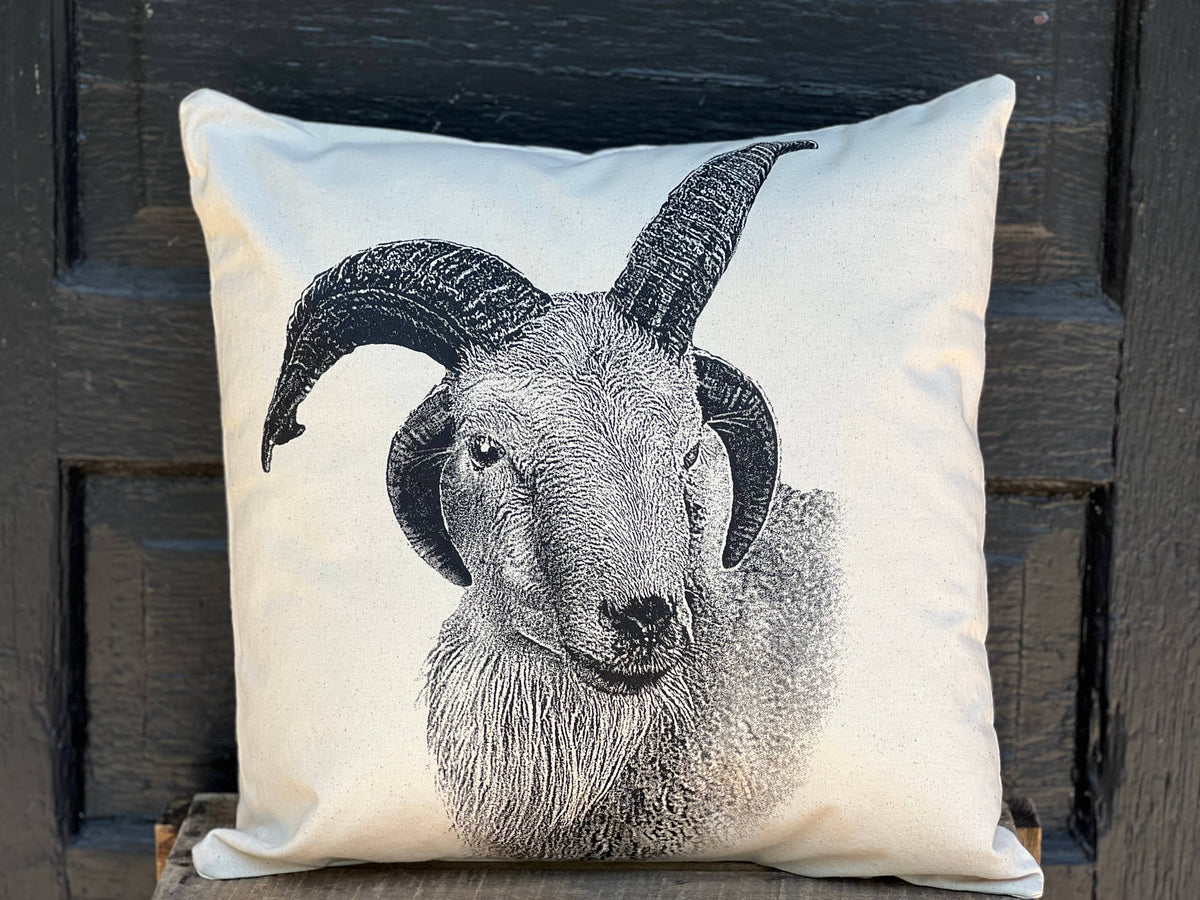 Jacob Sheep Large Pillow