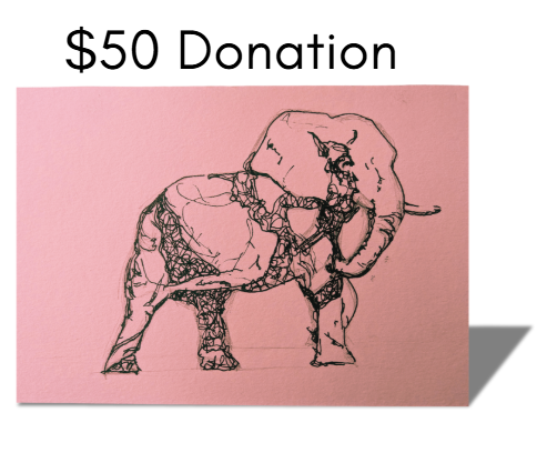 $50 Donation for Breast Cancer Patients