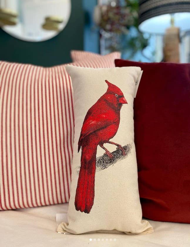 Cardinal Small Pillow