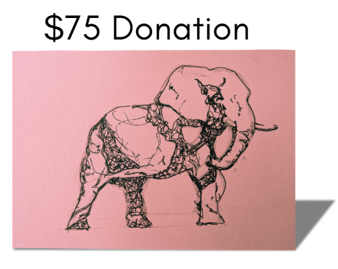 $75 Donation for Breast Cancer Patients