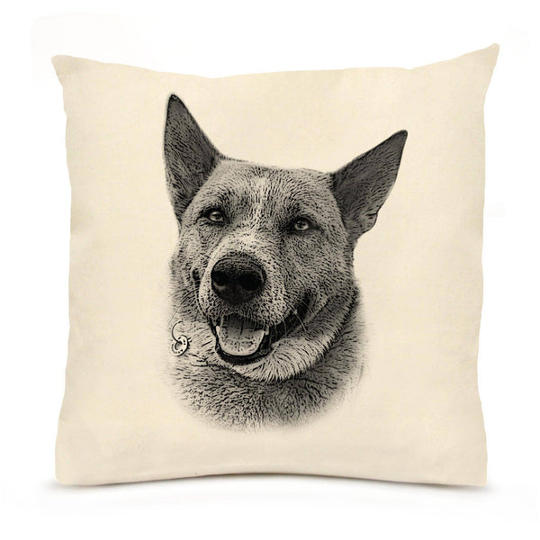 Australian Cattle Dog 20 x 20 Pillow