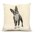 Boston Terrier Medium Pillow