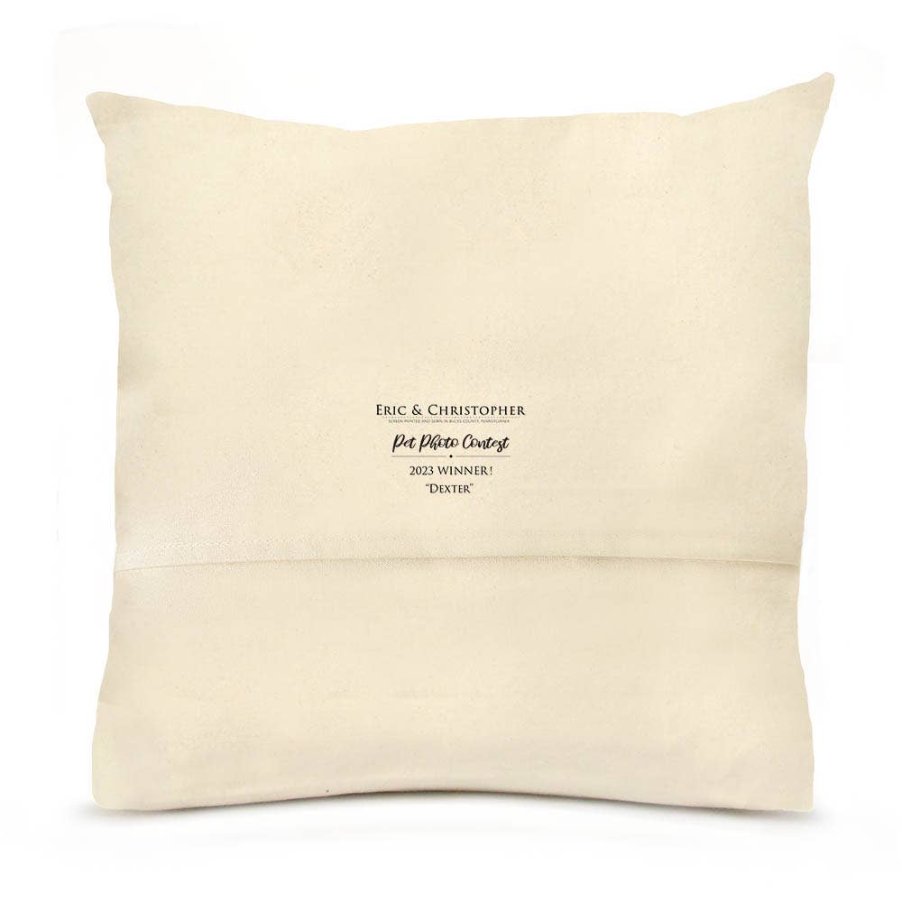 Turkey 20 x 20 Pillow - "Dexter"