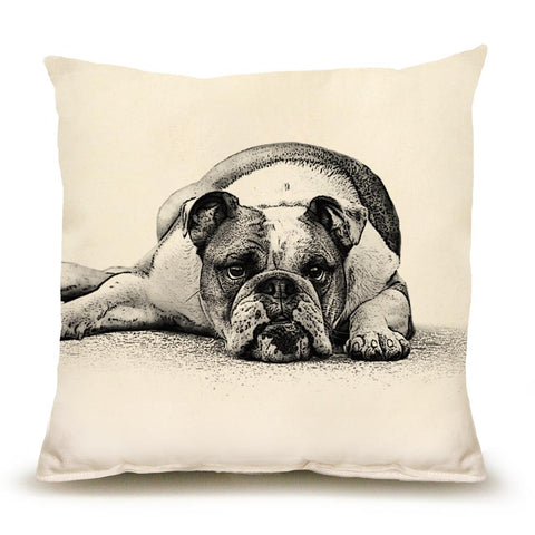 Bulldog Medium Pillow
