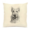 Sunny the Scottie 20 x 20 Pillow