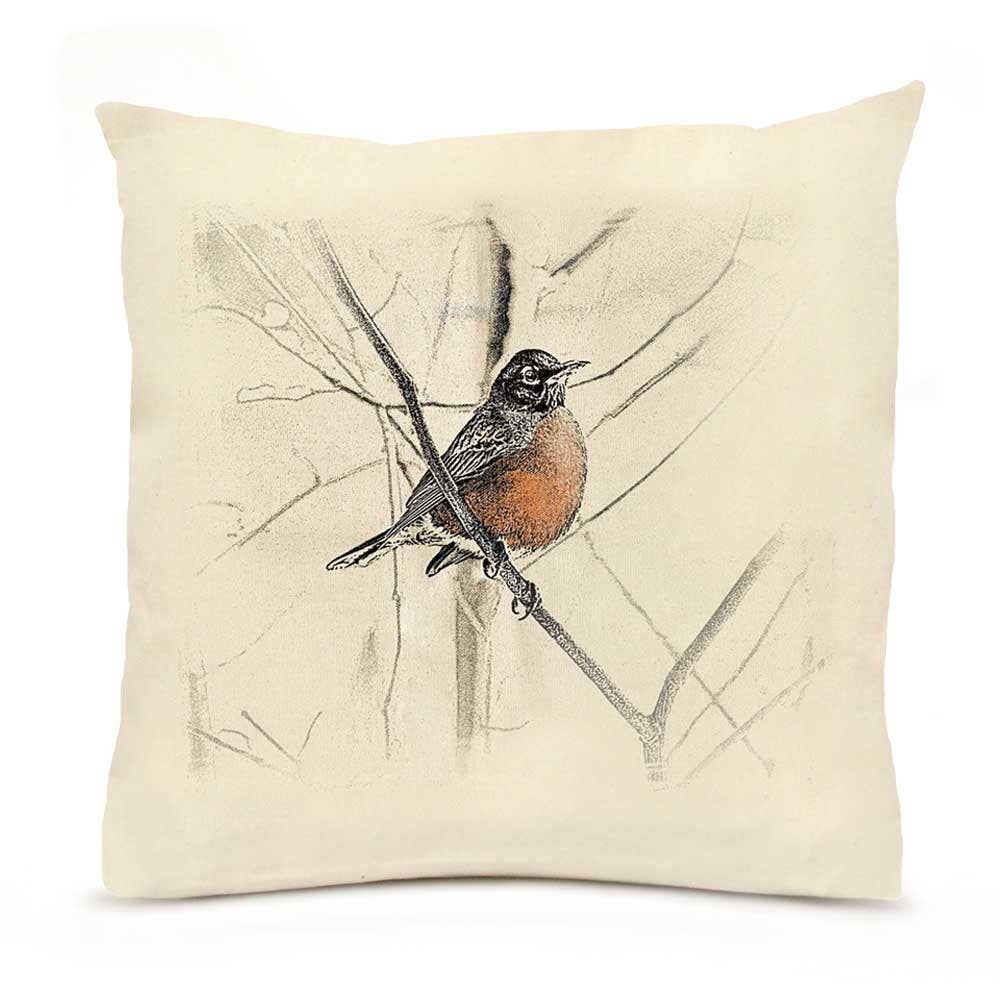 Robin 18 x 18 Pillow