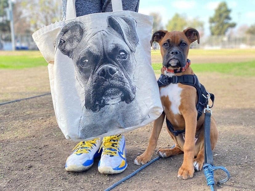 Boxer Large Tote