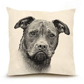 Pitbull Large Pillow